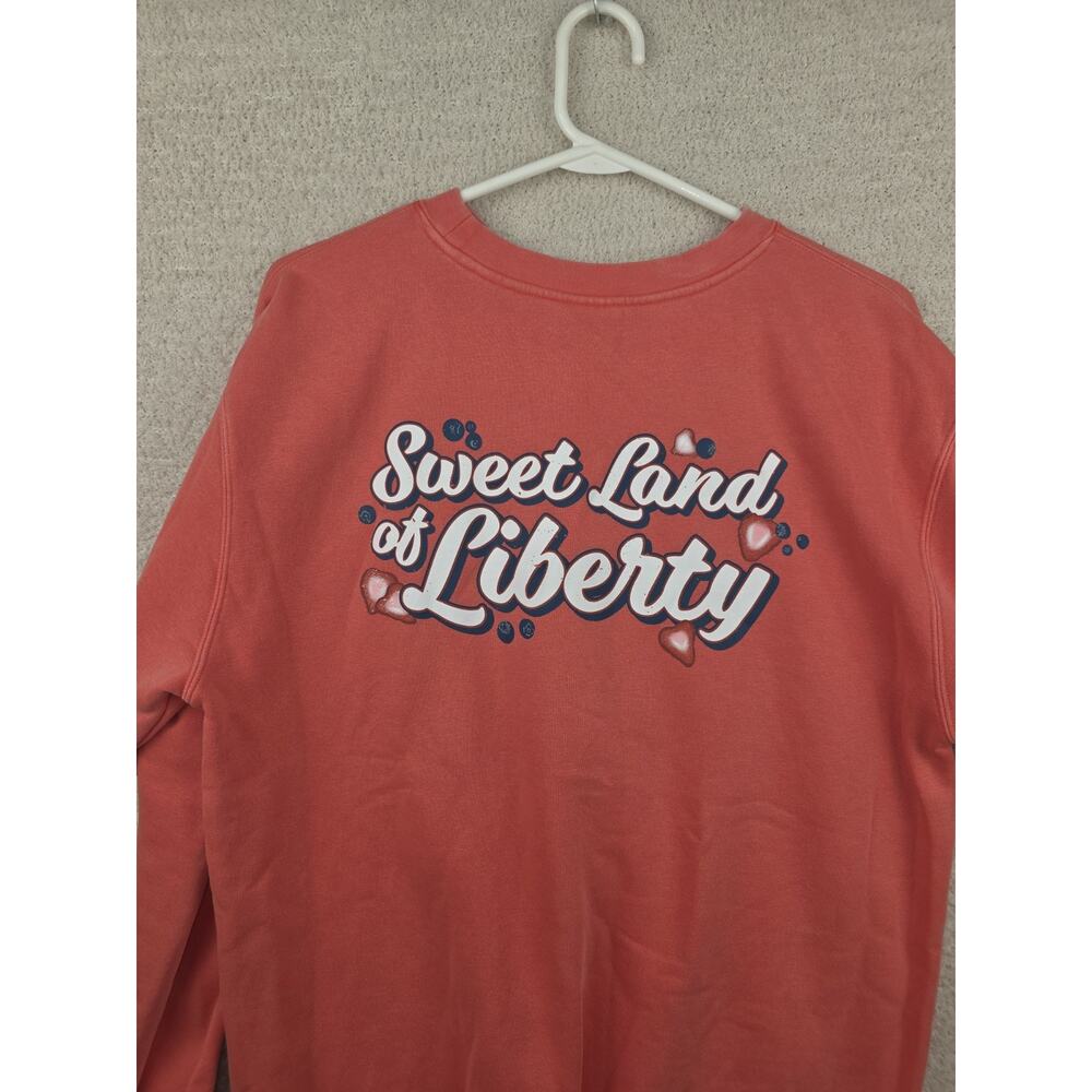 Living Fully Co. by Mallory Ervin Patriotic Flag Sweatshirt Size Medium - Picture 7 of 14